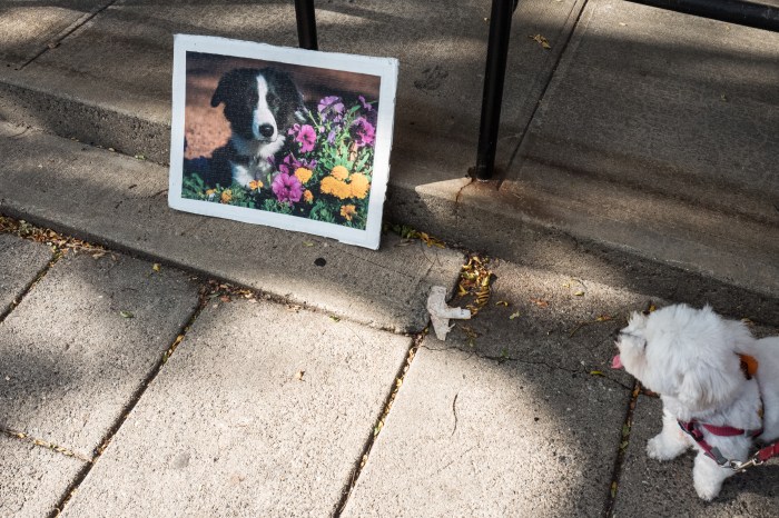 here's lookin' at you kid