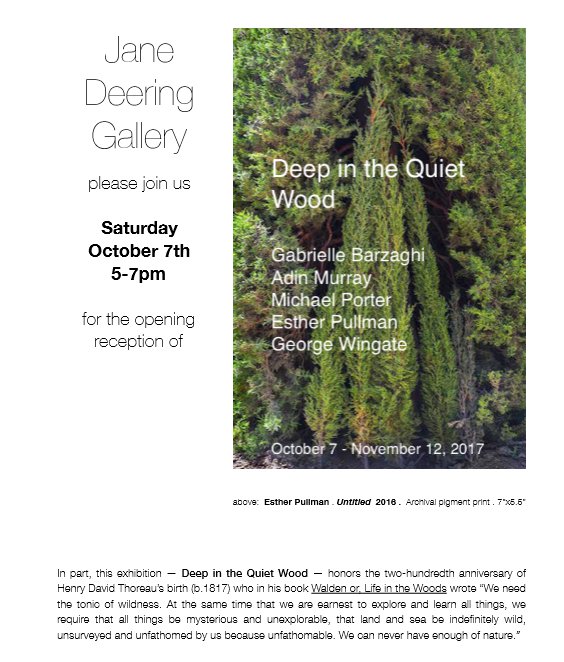 jane deering gallery deep in quiet wood