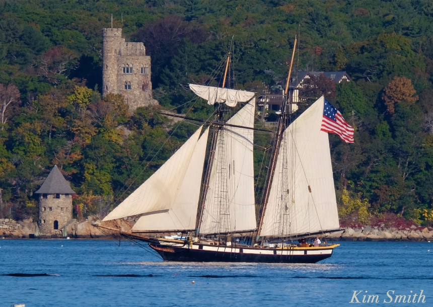 schooner-lynx-gloucester-harbor-copyright-kim-smith