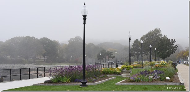 2017 10 26 Sara's Party Walks Ron Gilson's 020