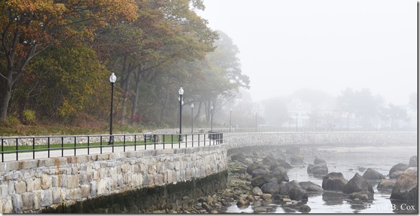 2017 10 26 Sara's Party Walks Ron Gilson's 028