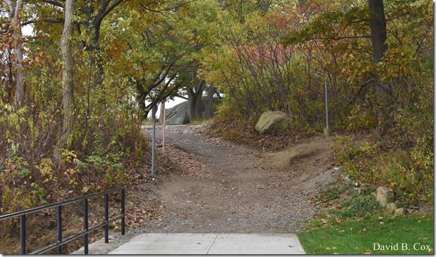 2017 10 26 Sara's Party Walks Ron Gilson's 029