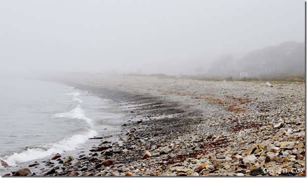 2017 10 26 Sara's Party Walks Ron Gilson's 042