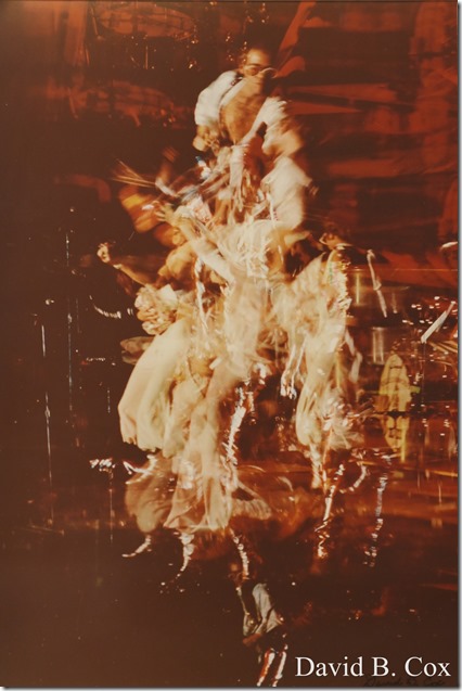 2017 10 26 Sara's Party Walks Ron Gilson's 051