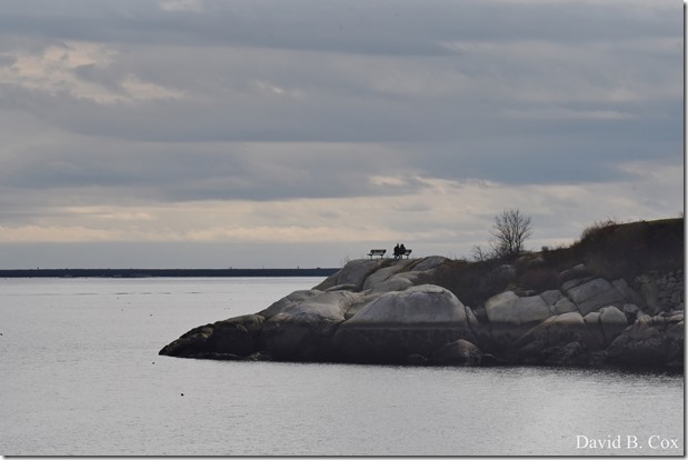 2017 11 16 Misc Walks & Museum 005