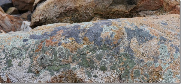 2017 11 16 Misc Walks & Museum 056