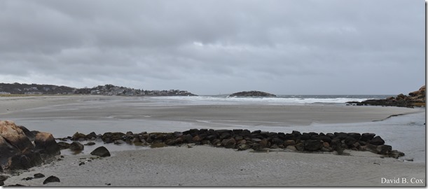 2017 11 16 Misc Walks & Museum 059