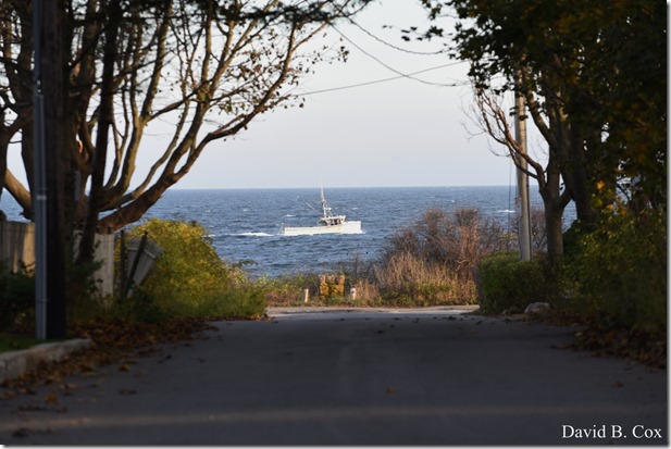 2017 11 3 17 Walks & Haloween 002