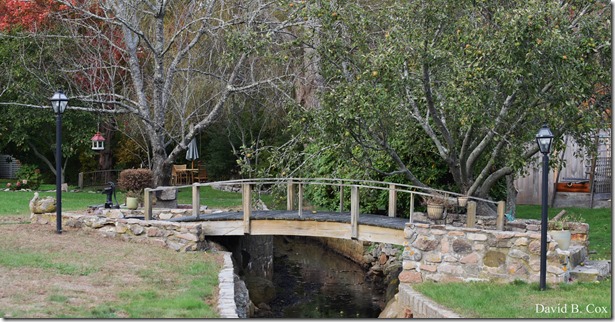 2017 11 3 17 Walks & Haloween 010