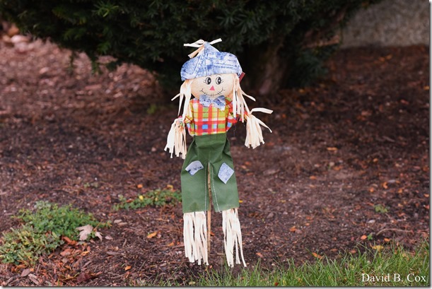 2017 11 3 17 Walks & Haloween 015