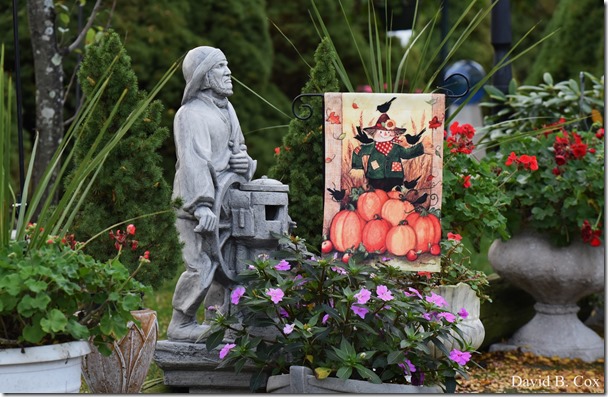 2017 11 3 17 Walks & Haloween 016