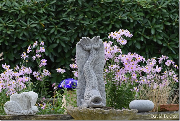 2017 11 3 17 Walks & Haloween 017