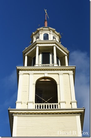 2017 11 3 17 Walks & Haloween 029