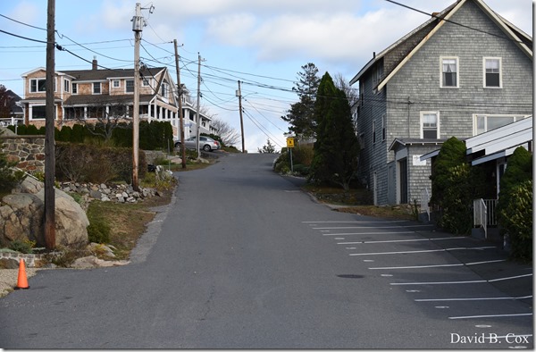 2017 11 3 17 Walks & Haloween 033