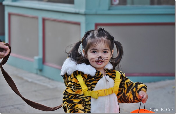 2017 11 3 17 Walks & Haloween 070