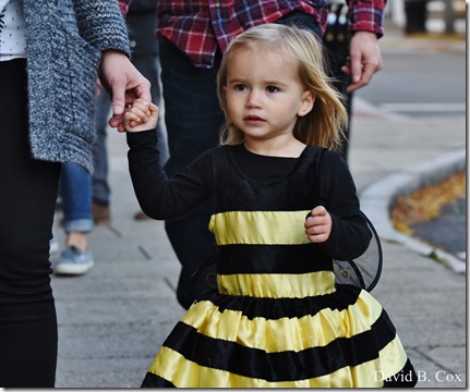 2017 11 3 17 Walks & Haloween 116