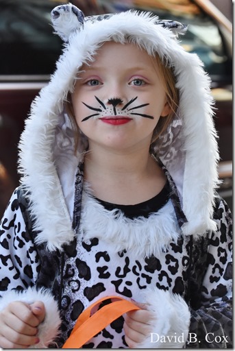 2017 11 3 17 Walks & Haloween 171