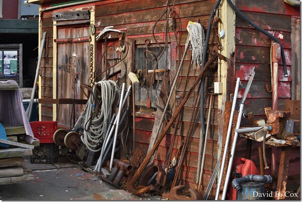 2017 11 3 17 Walks & Haloween 205