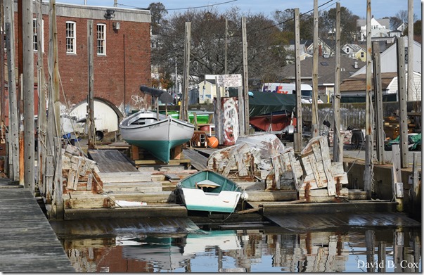 2017 11 3 17 Walks & Haloween 216