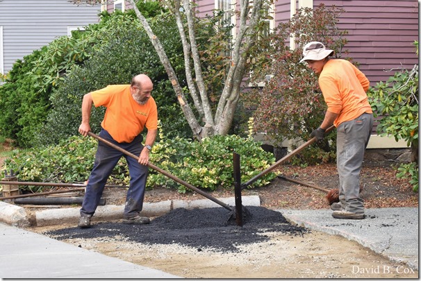 2017 11 3 17 Walks & Haloween 220