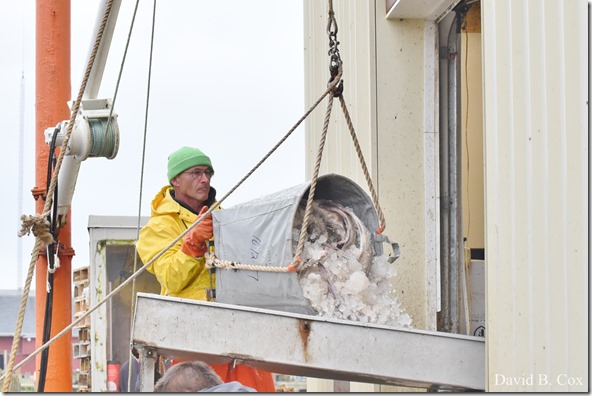 2017 11 7 GHS Soccer vs Dracut & Walks 028