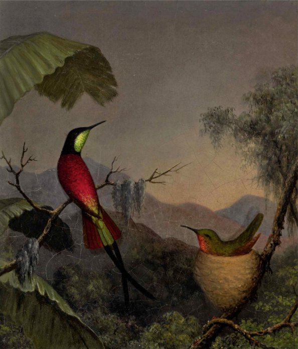 Martin Johnson Heade Crimson Topaz Hummingbirds Nesting near a Palm tree o c 13 x 11 ca1865 est 150 to 200 thousand Sothebys