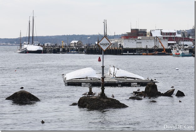 2017 12 11 Very Misc 032