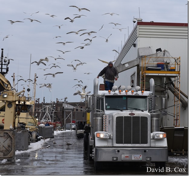 2017 12 11 Very Misc 046