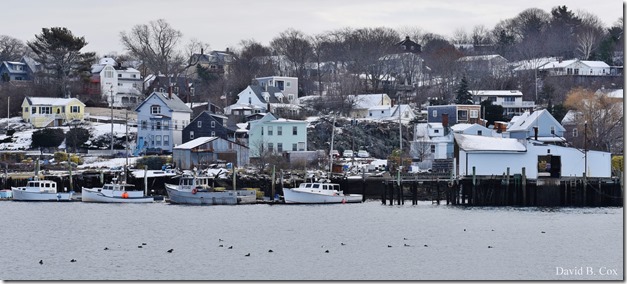 2017 12 11 Very Misc 071