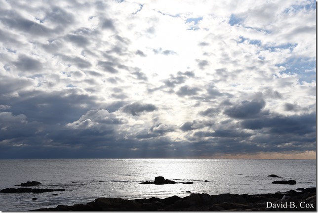 2017 12 28 Misc Back Shore 003