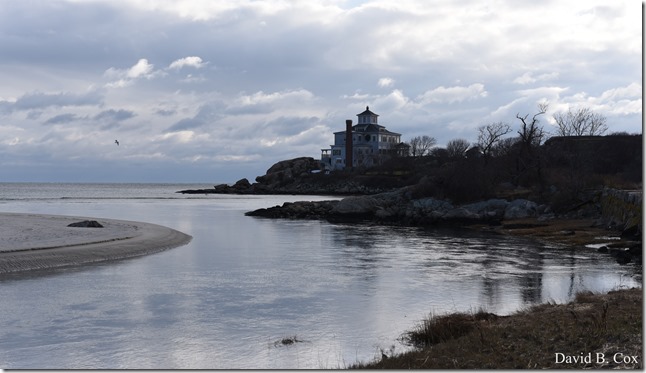 2017 12 28 Misc Back Shore 006