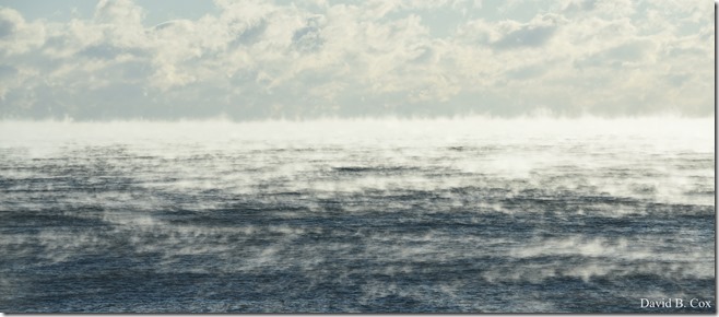 2017 12 28 Misc Back Shore 021