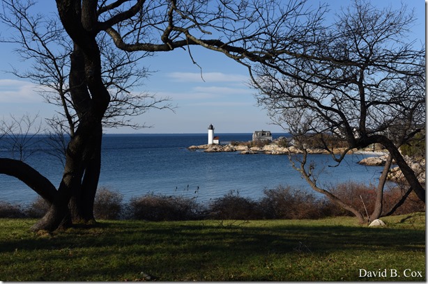 2017 12 4 D750 Misc Squam-Antonetta BDay 005