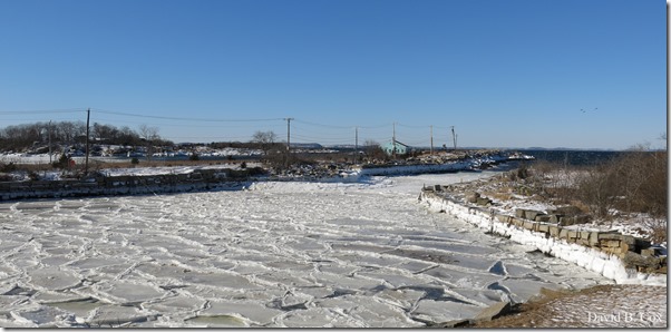 2018 1 03 Misc Around Town & Fred & Haley 010