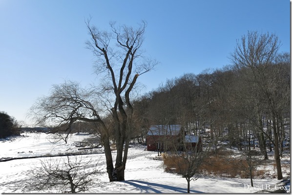 2018 1 03 Misc Around Town & Fred & Haley 015