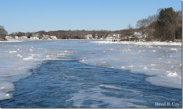 2018 1 03 Misc Around Town & Fred & Haley 033