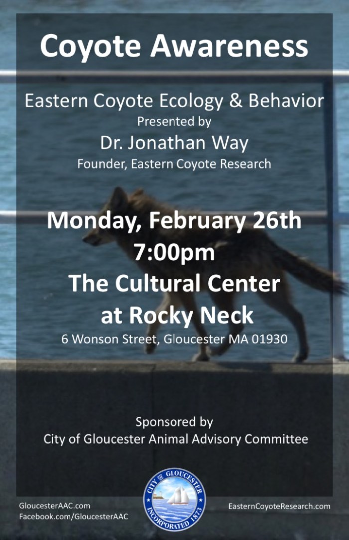 Coyote Presentation_Feb26 Poster