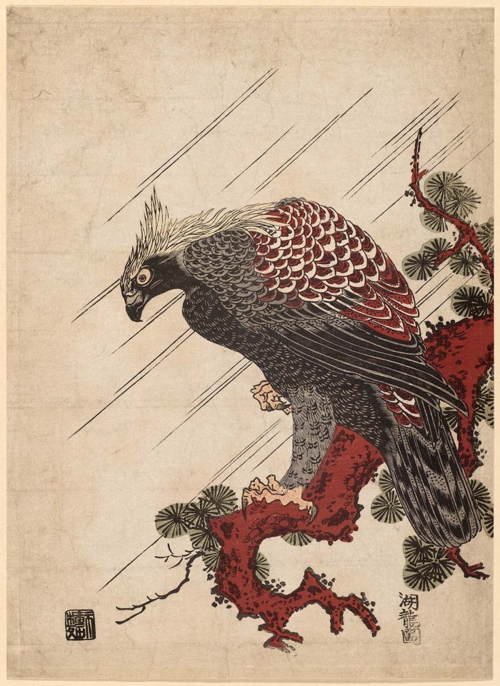 eagle on a pine branch in the rain MFA Japanese Edo period ca1770s Isoda koryusai.jpg