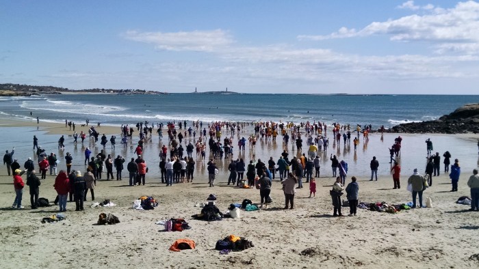 IMG_20150411_111949276