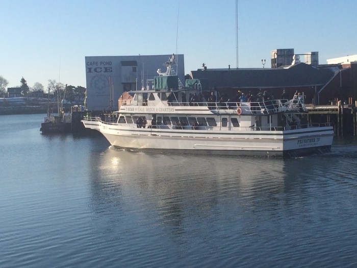 Winter Birding Boat Trip