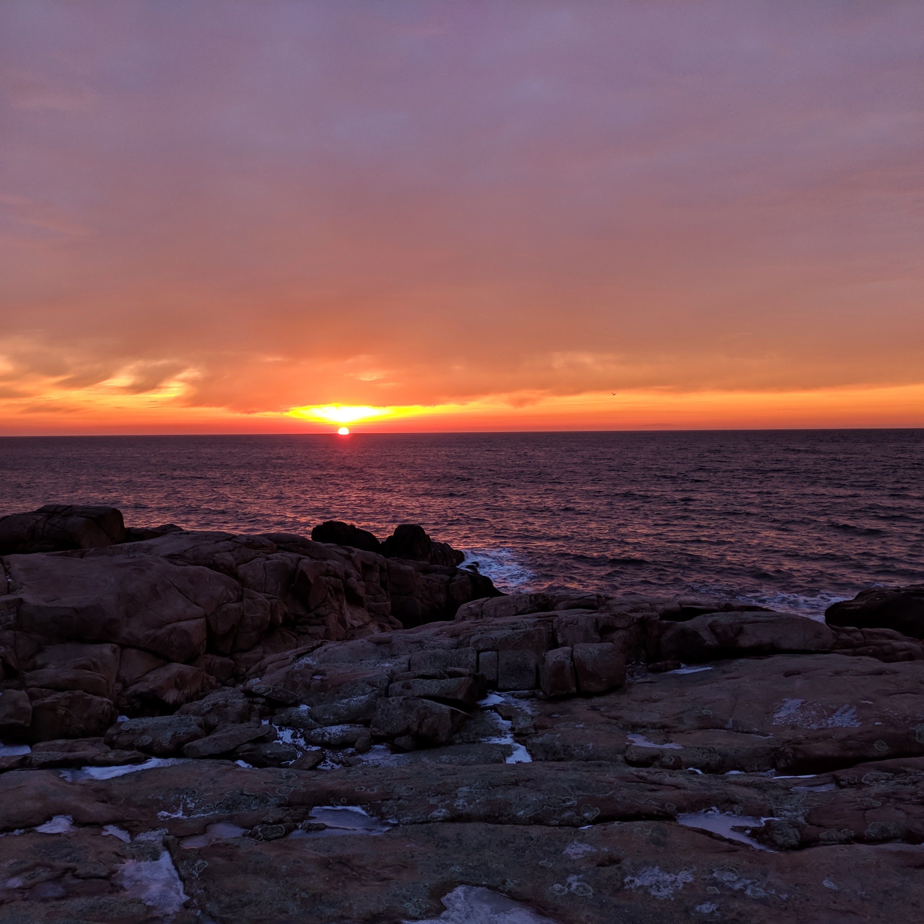 Mauve rise and ice (for charles)
