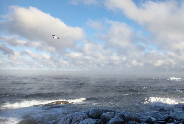 soaring January 1 2018 ©C ryan (2)