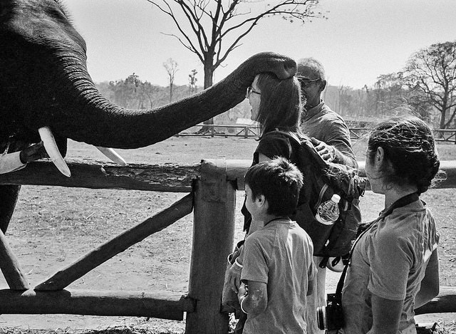 39426300155_8e26cdc6df_z