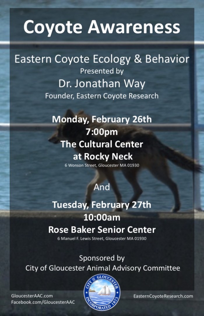 Coyote Presentation_Feb26 &amp; Feb 27 Poster