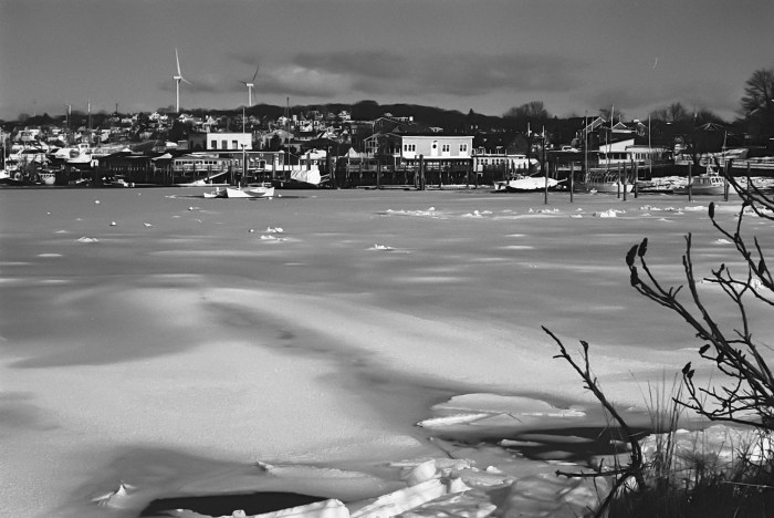 smith cove frozen