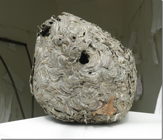 2018 3 28 Misc G15 003