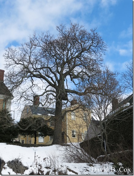 2018 3 28 Misc G15 004