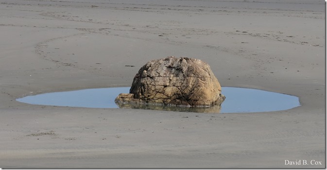 2018 3 28 Misc G15 025