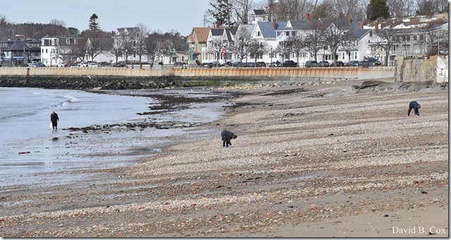 2018 3 29 Walks Blvd-People-Misc 010