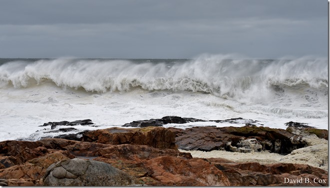 2018 3 5 Storm surf Photos Monday 002